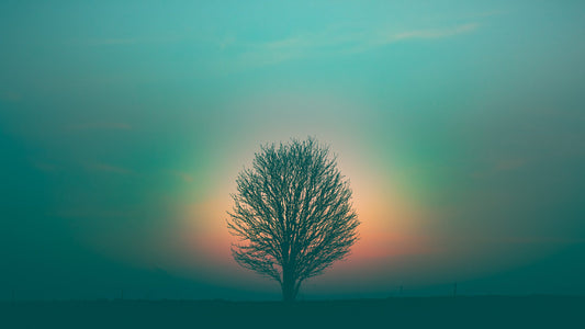 The Spiritual Intuitive