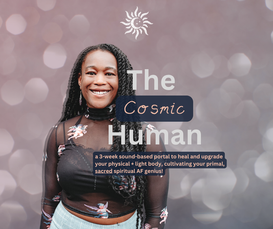 the Cosmic Human (a 3-week Sound Portal)